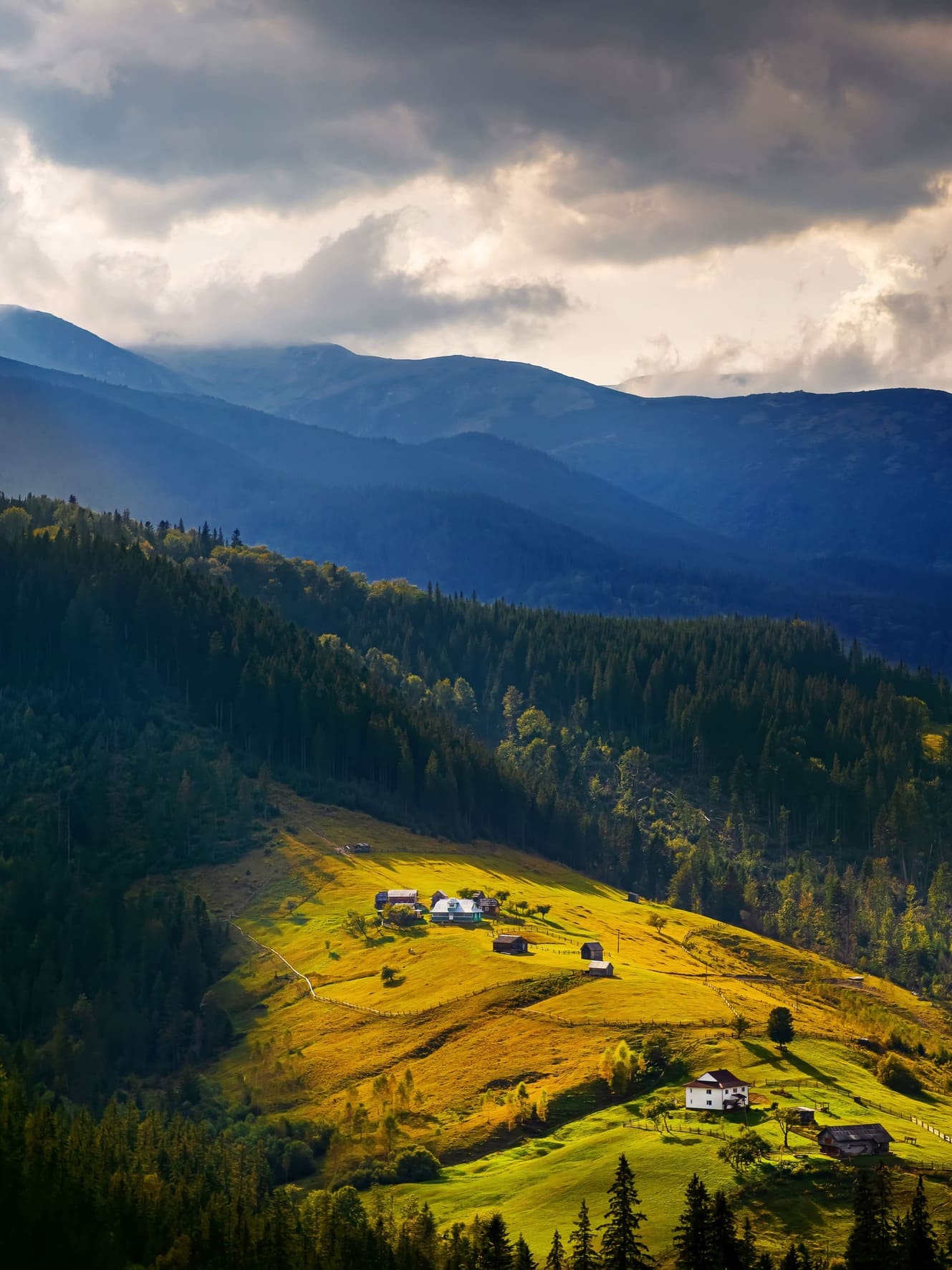 Carpathian montains